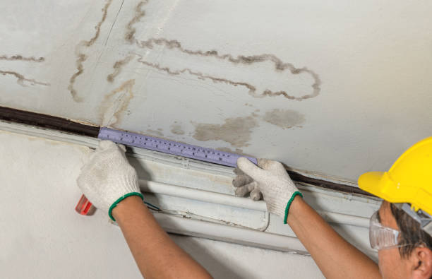 Reliable Water Damage contractor in Decatur, TX by Water Damage Irwin